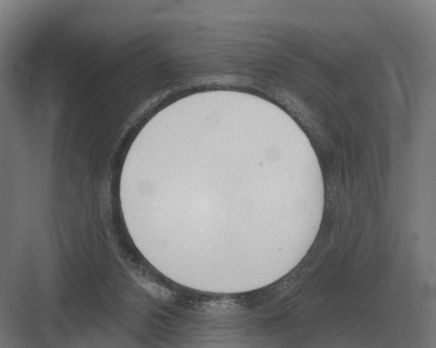 X0000082160112200702162244