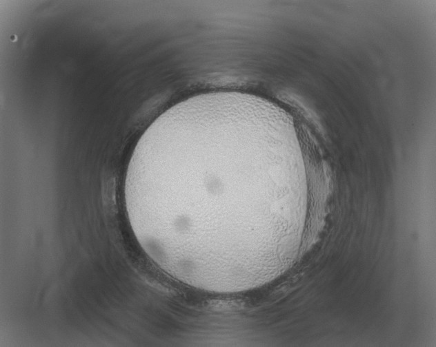 X0000082160115200702162244