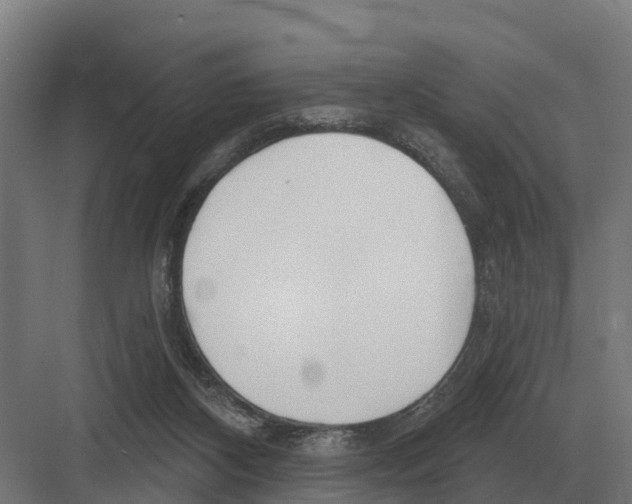 X0000082160116200702162244