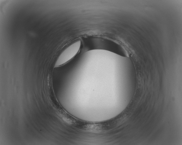 X0000082160117200702162244