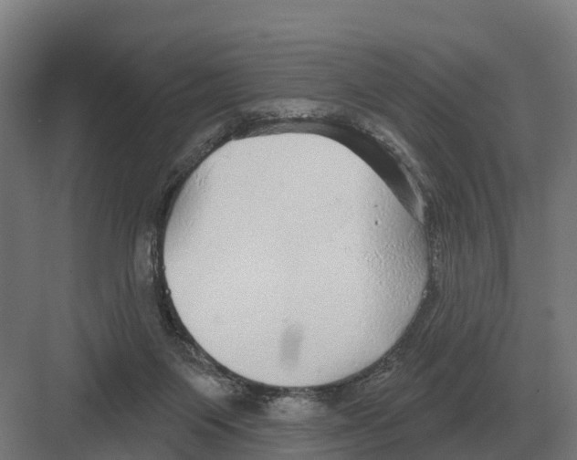 X0000082160119200702162244