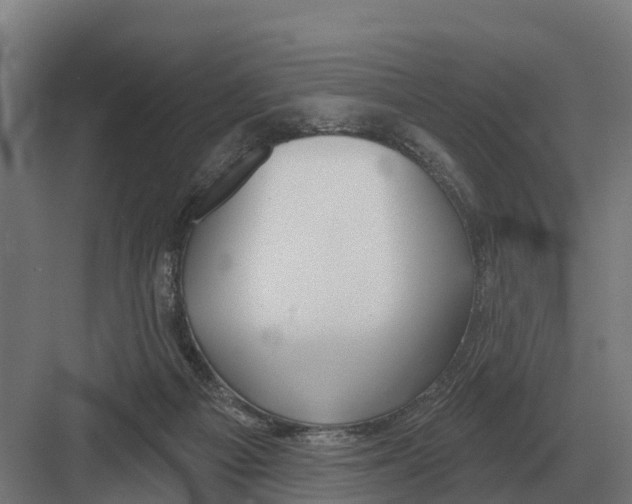 X0000082160121200702162244