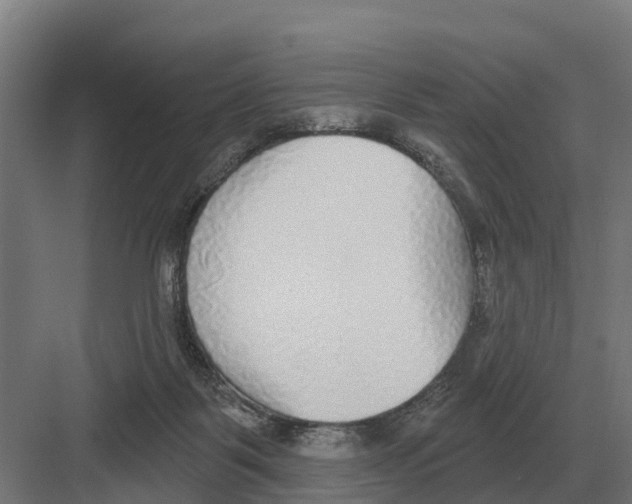 X0000082160123200702162244