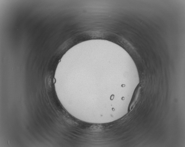 X0000082160124200702162244