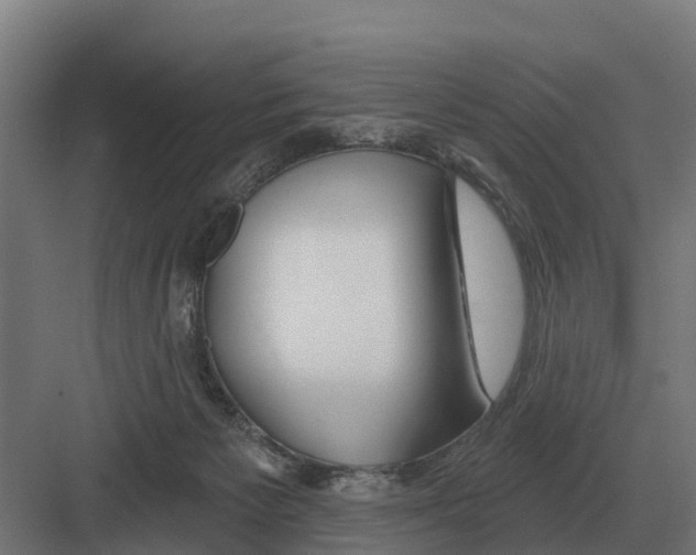 X0000082160125200702162244