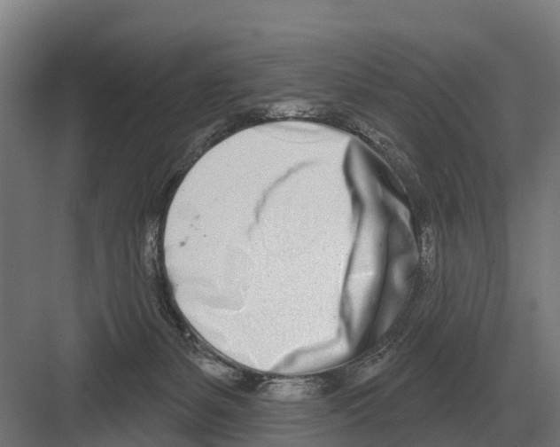 X0000082160127200702162244