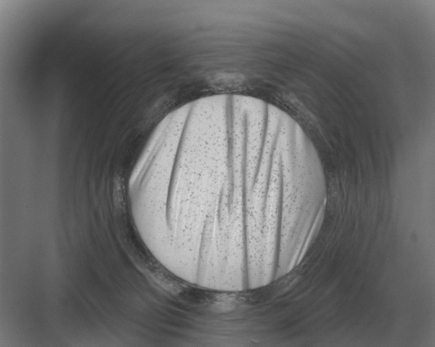 X0000082160130200702162244