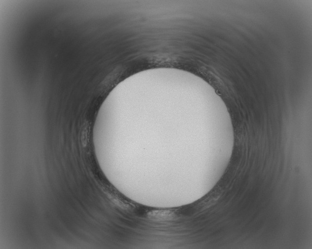 X0000082160133200702162244