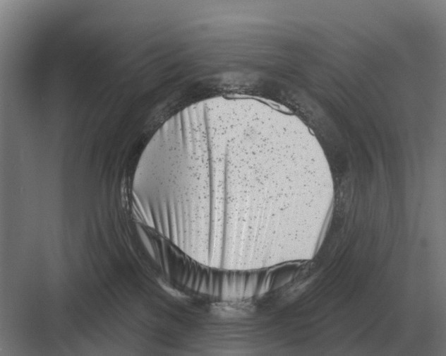 X0000082160137200702162244