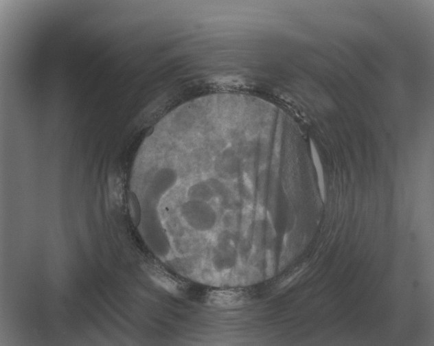 X0000082160139200702162244