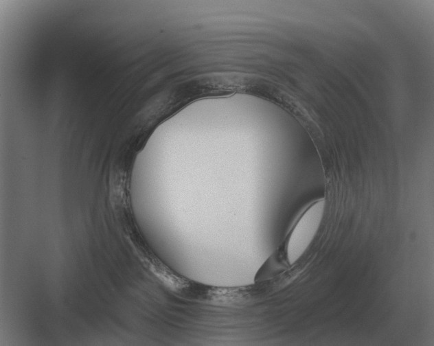 X0000082160141200702162244