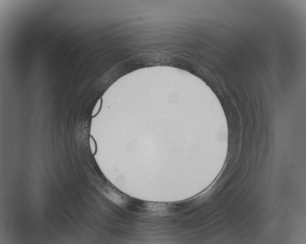 X0000082160144200702162244