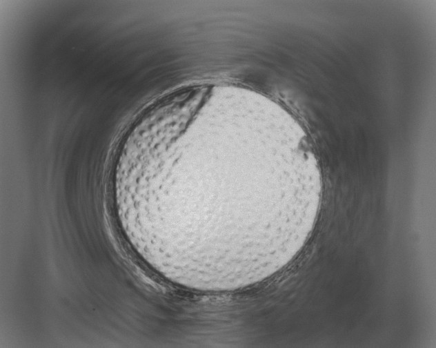 X0000082160145200702162243