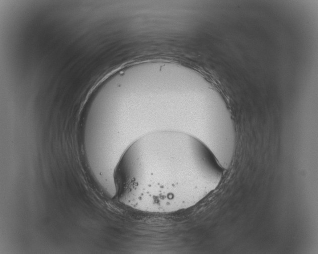 X0000082160146200702162243