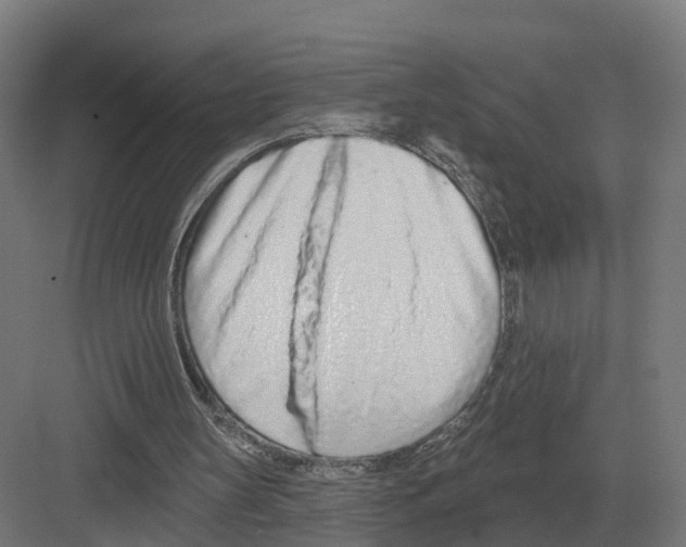 X0000082160147200702162243