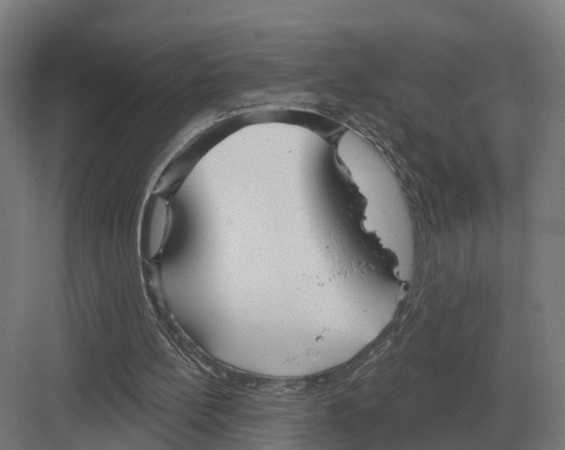 X0000082160148200702162243