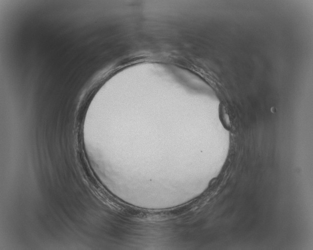 X0000082160149200702162243