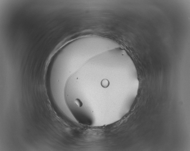 X0000082160150200702162243