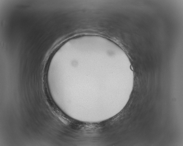 X0000082160151200702162243