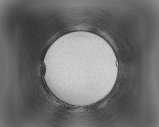 X0000082160153200702162243