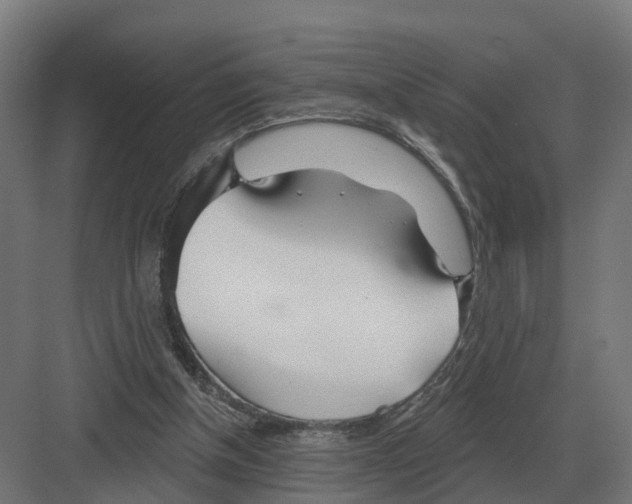 X0000082160154200702162243