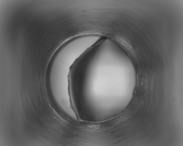 X0000082160156200702162243