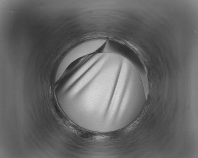 X0000082160158200702162243