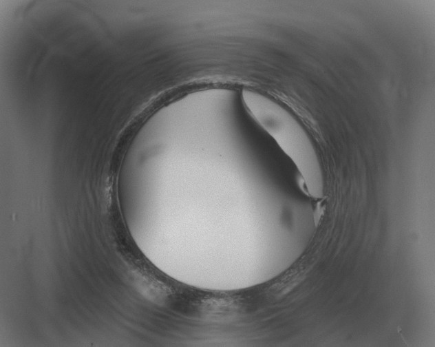 X0000082160160200702162243