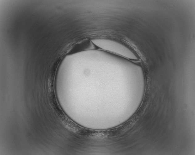 X0000082160161200702162243