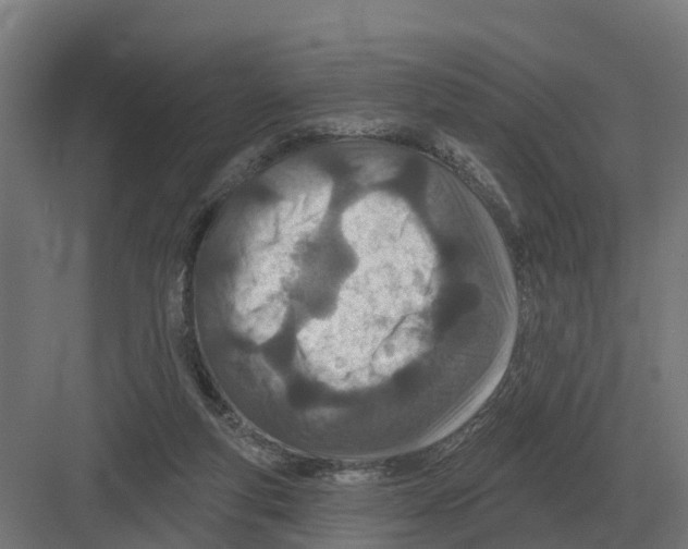 X0000082160163200702162243