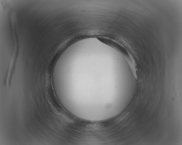 X0000082160164200702162243