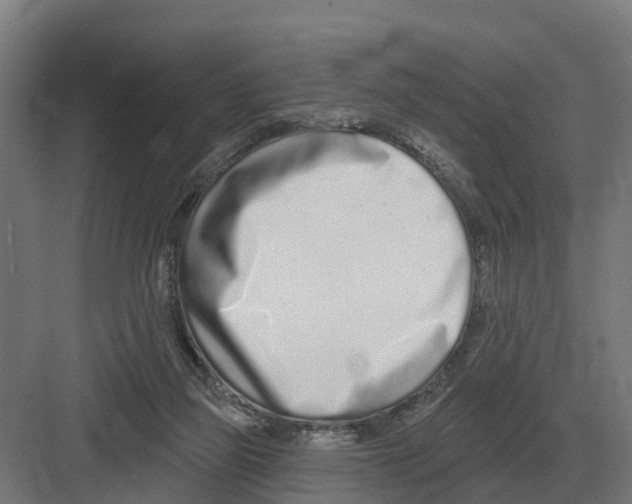 X0000082160165200702162243