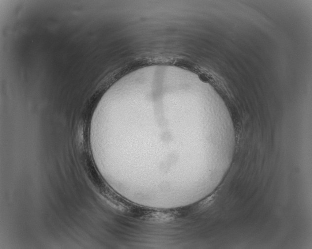 X0000082160166200702162243