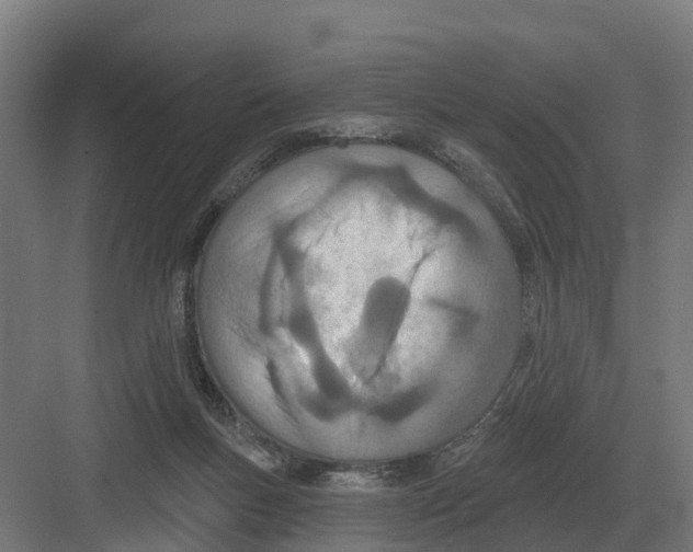 X0000082160167200702162243