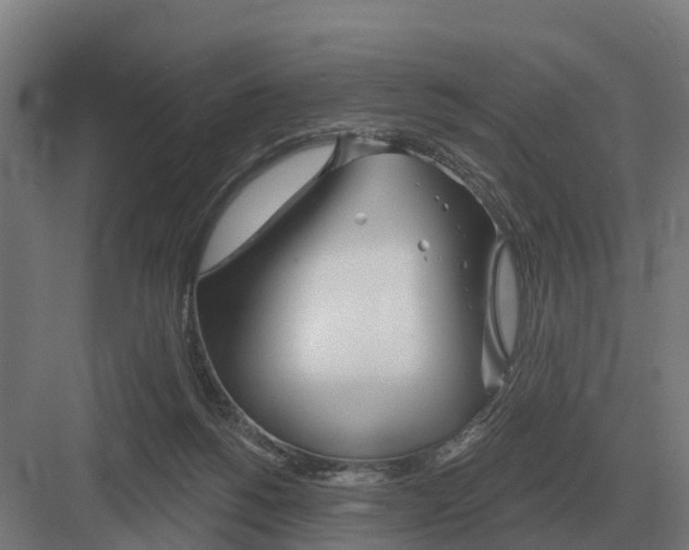 X0000082160168200702162243