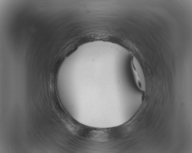 X0000082160170200702162243