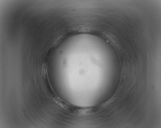 X0000082160172200702162243