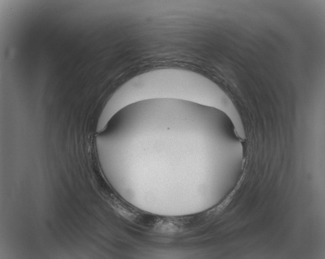 X0000082160174200702162244