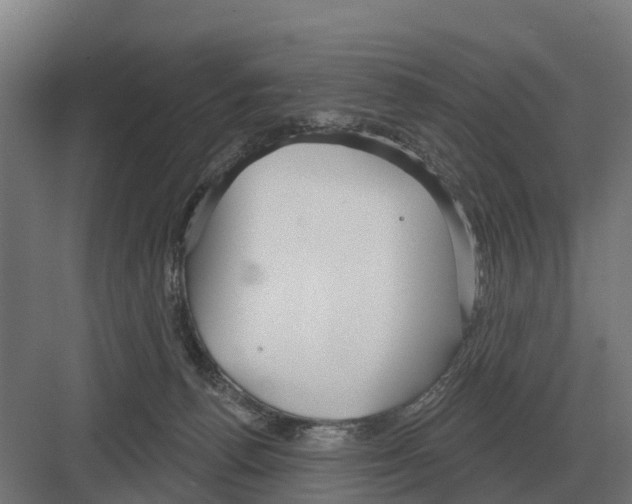 X0000082160176200702162244