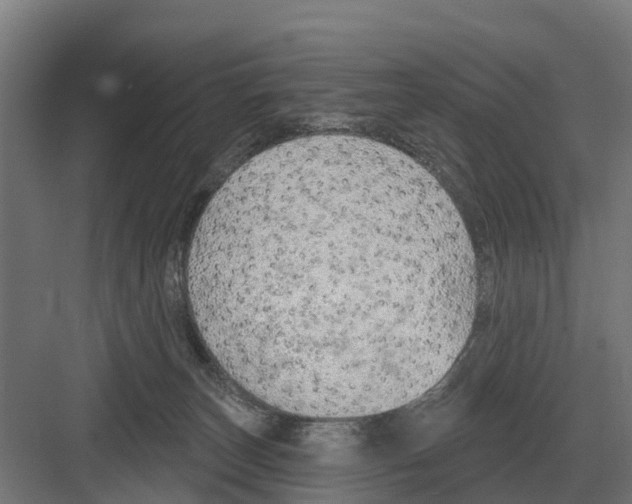 X0000082160179200702162244