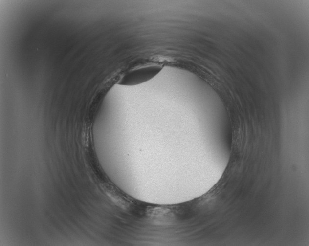 X0000082160180200702162244