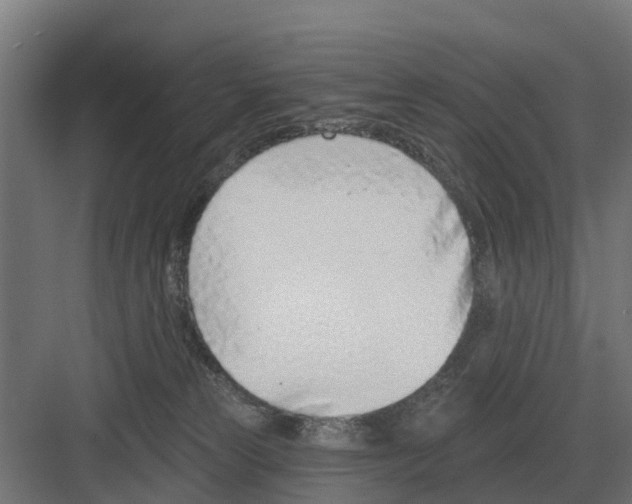 X0000082160181200702162244