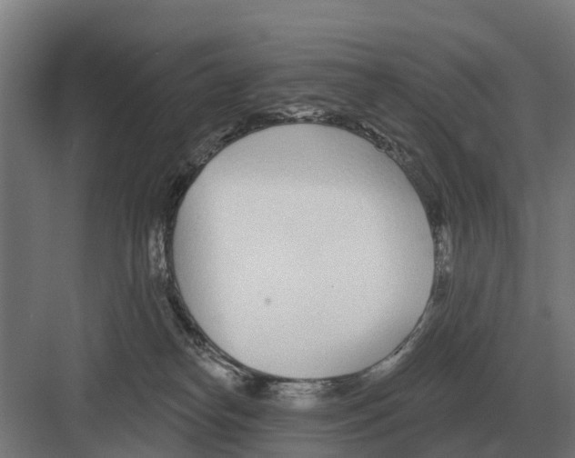 X0000082160182200702162244