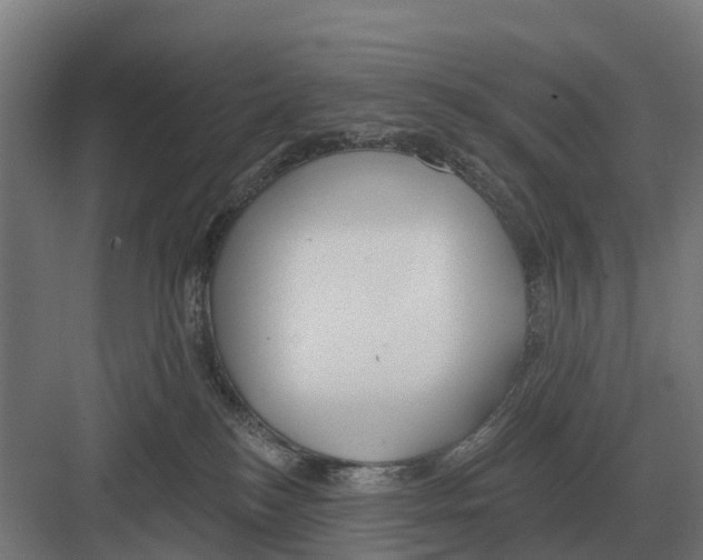 X0000082160184200702162244