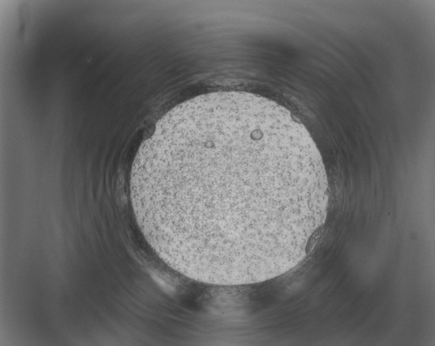 X0000082160187200702162244