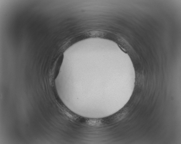 X0000082160189200702162244