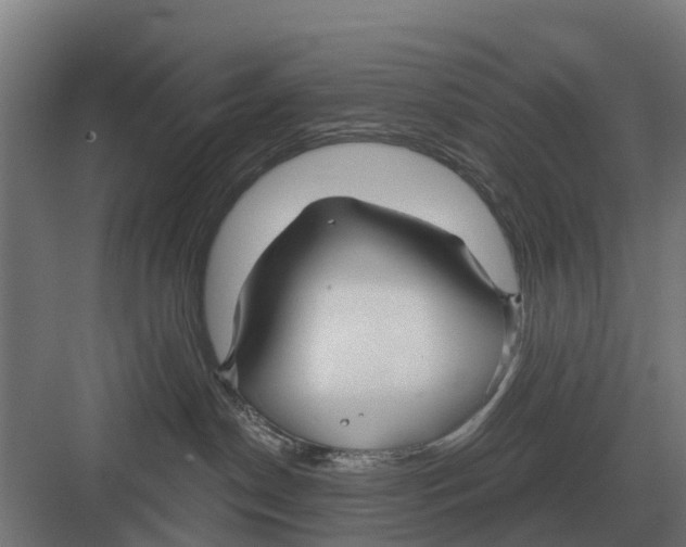 X0000082160190200702162244