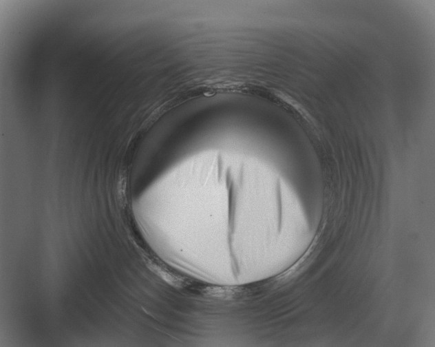 X0000082160192200702162244