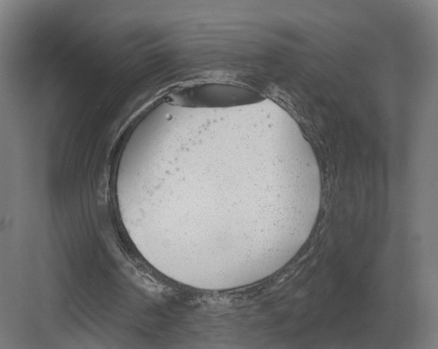 X0000082160194200702162243