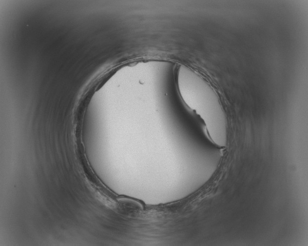 X0000082160197200702162243